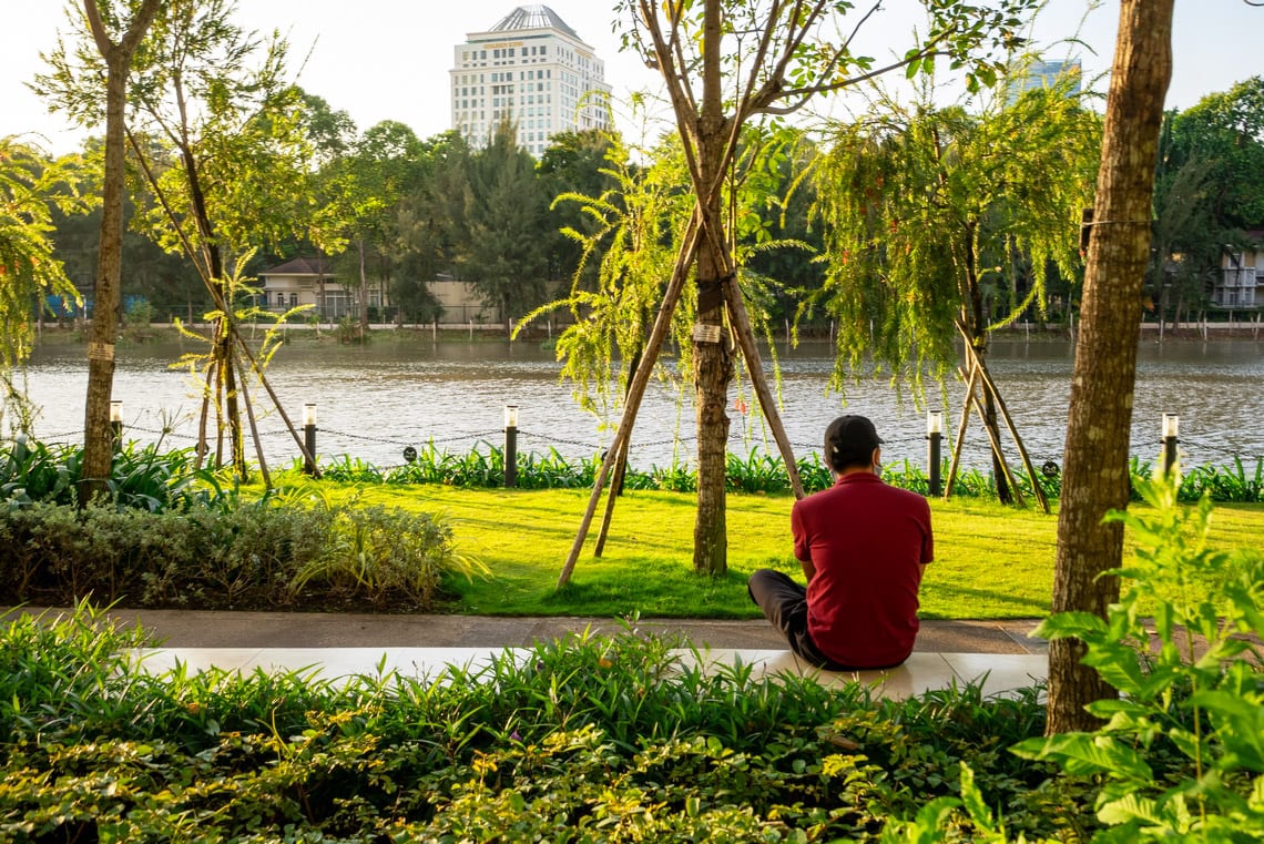 Đa dạng hạng mục chăm sóc cây xanh Quận 7.
