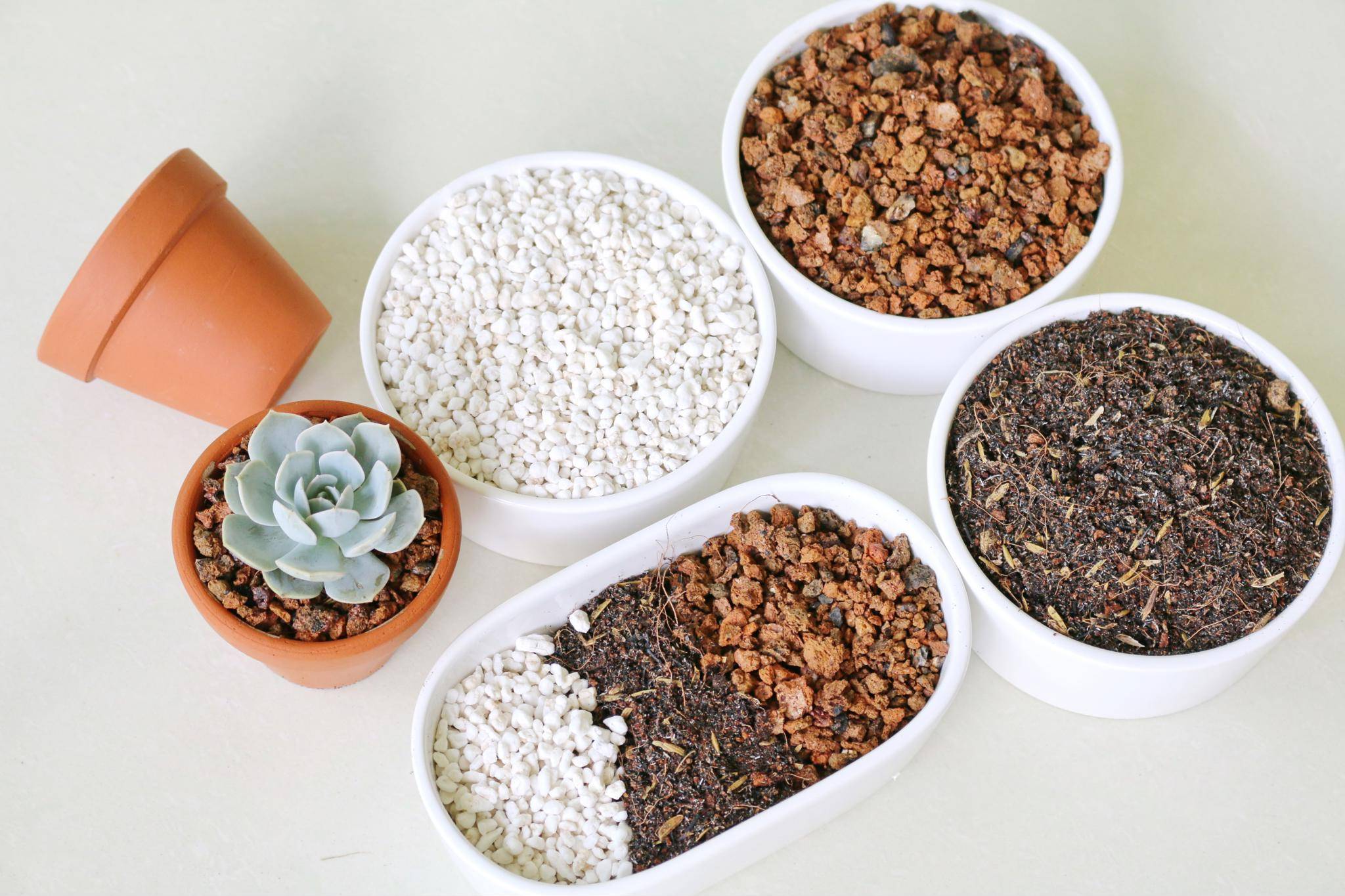 Soil Mix gồm nhóm thoát nước, giữ ẩm và dinh dưỡng cho cây.