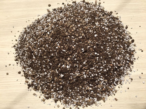 Công thức trộn đất trồng sen đá