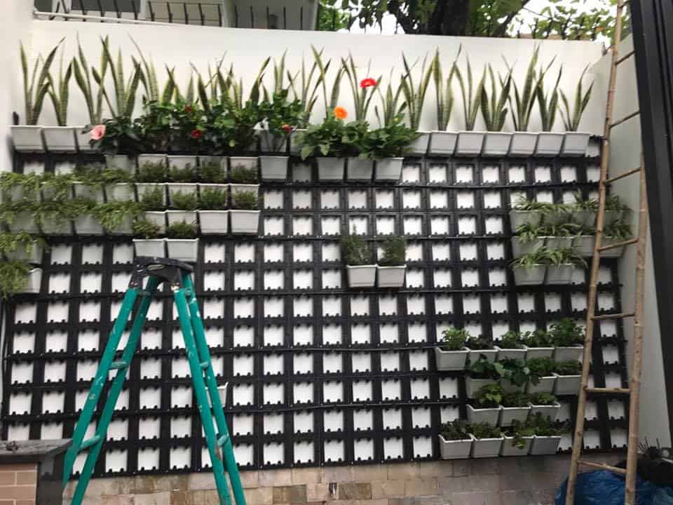 Phương pháp module nhựa