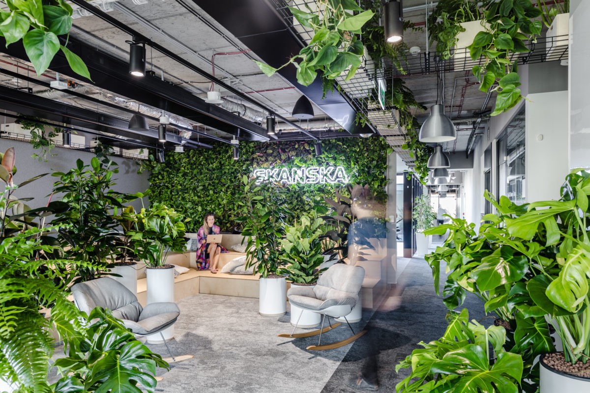 Hata Landscape cam kết chất lượng cây đẹp, đúng tiến độ và dịch vụ tận tâm.