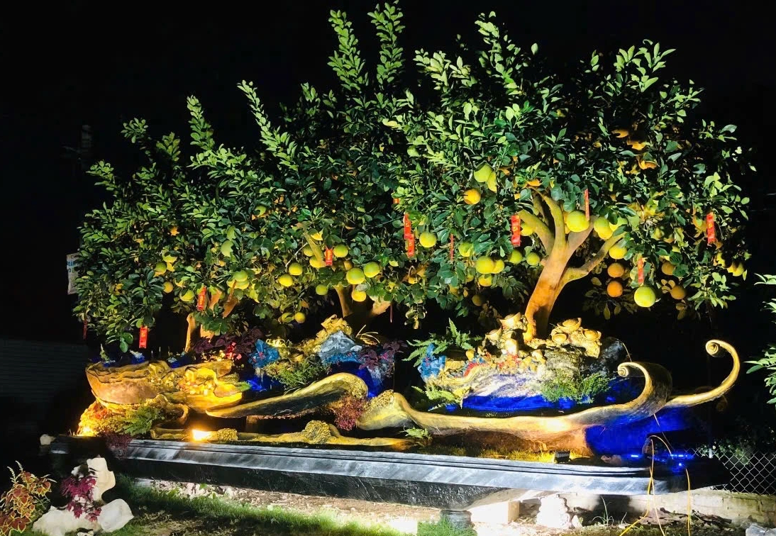 Bưởi Diễn chơi Tết