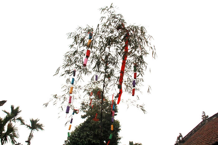 Tìm hiểu phong tục, ý nghĩa và cách dựng cây nêu ngày Tết