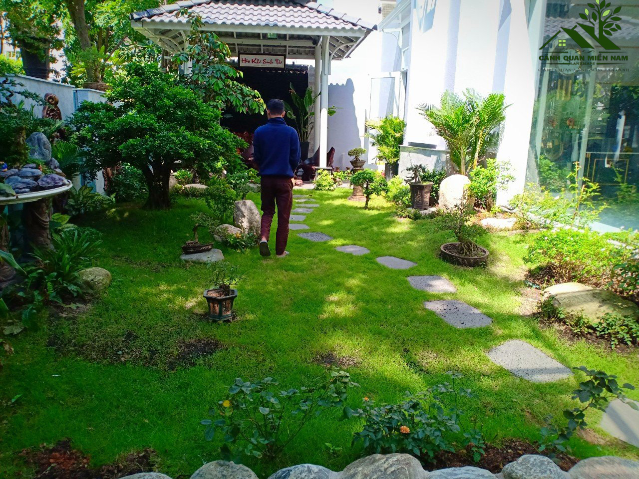 Quy trình chăm sóc cây cảnh sân vườn