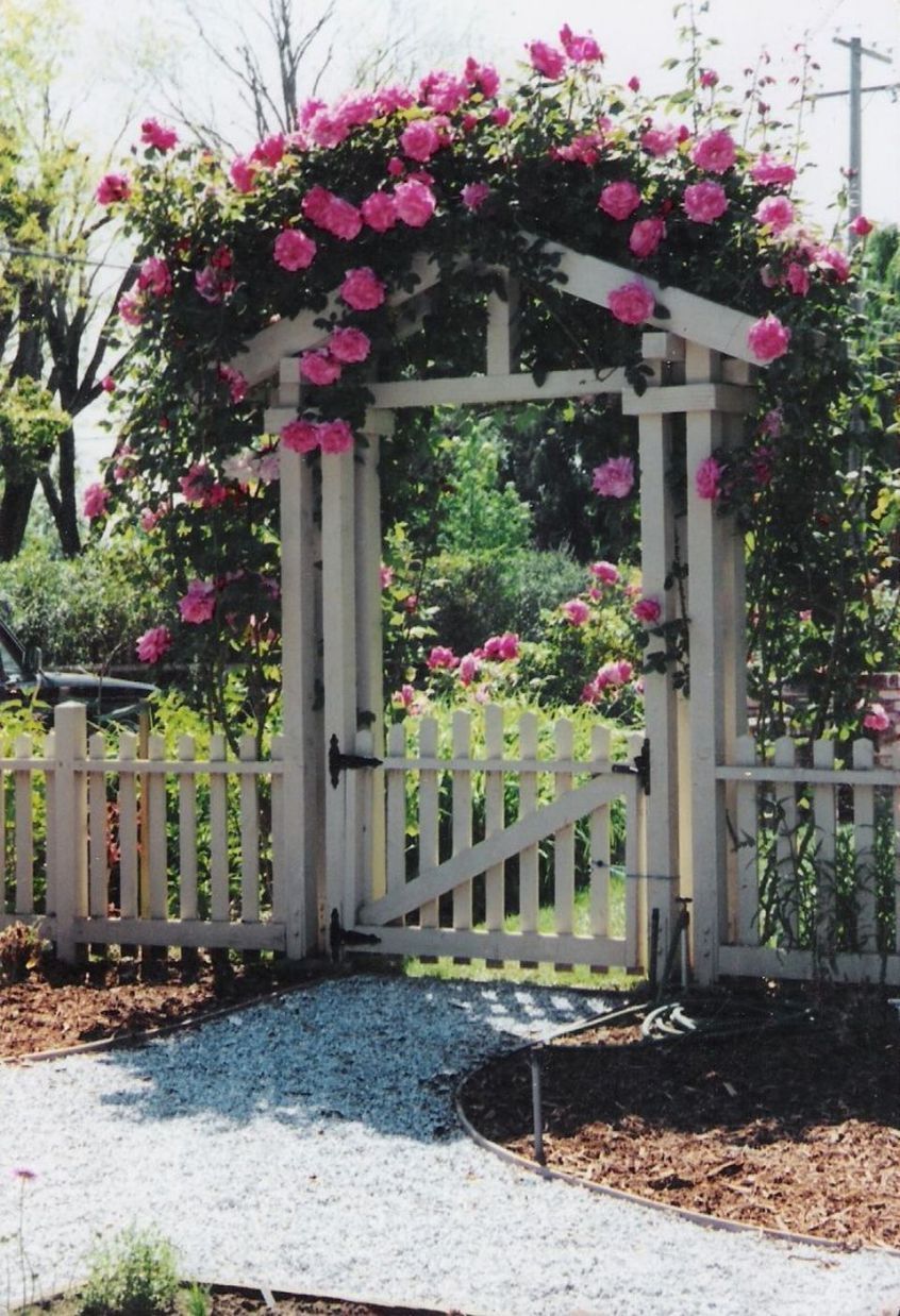 mẫu cổng sân vườn đẹp