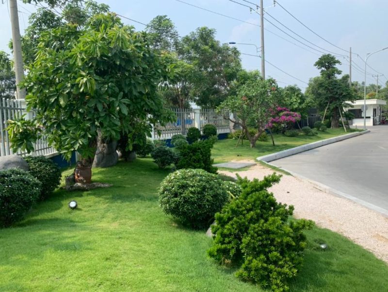 Công Ty Cây Xanh Đô Thị Đại Phúc