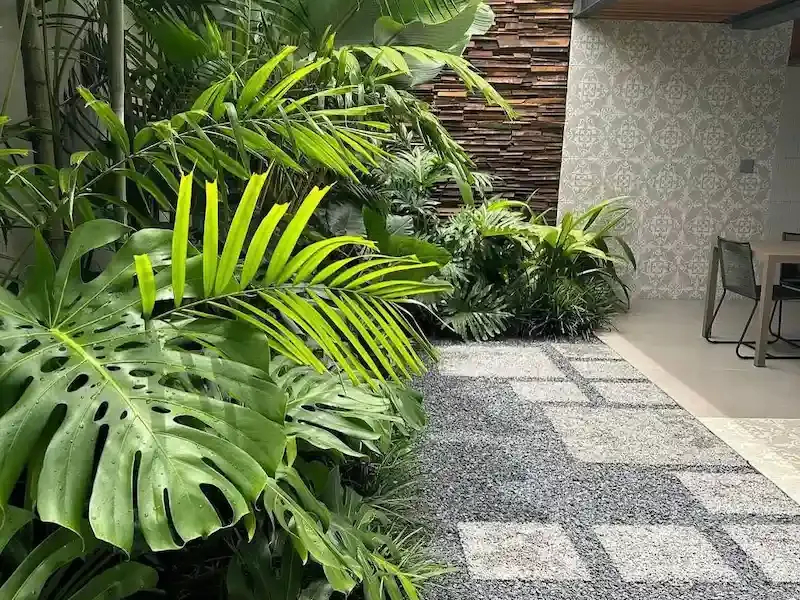 Công ty TNHH Cây Cảnh Sài Gòn