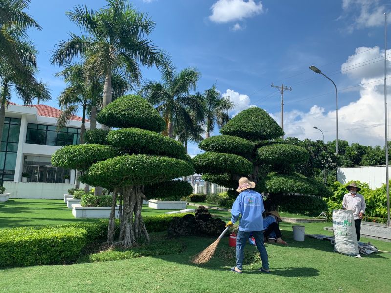 Công Ty TNHH Dịch Vụ Vinaxanh