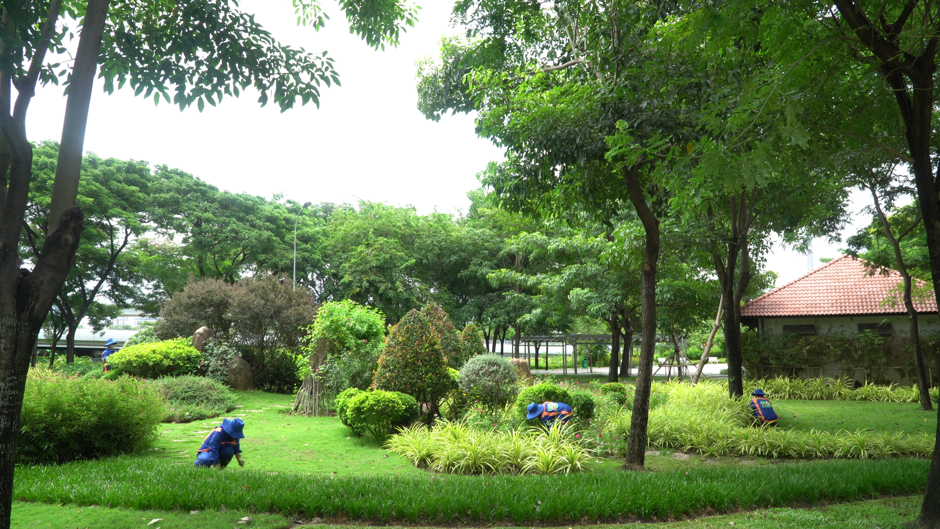 Công Ty TNHH Hoàng Lam