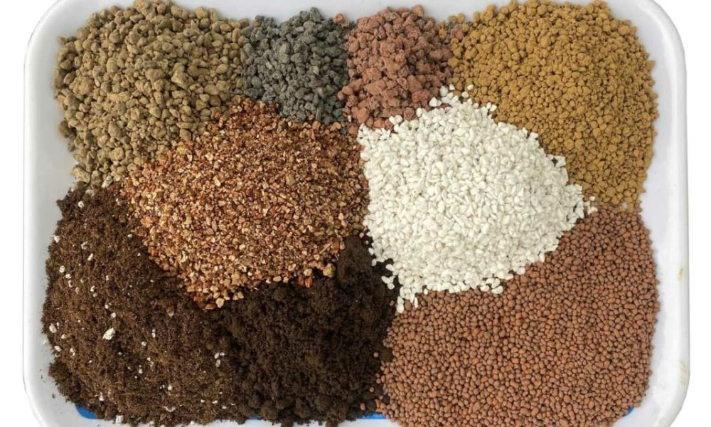Đất trồng sen đá khác với các loại đất khác