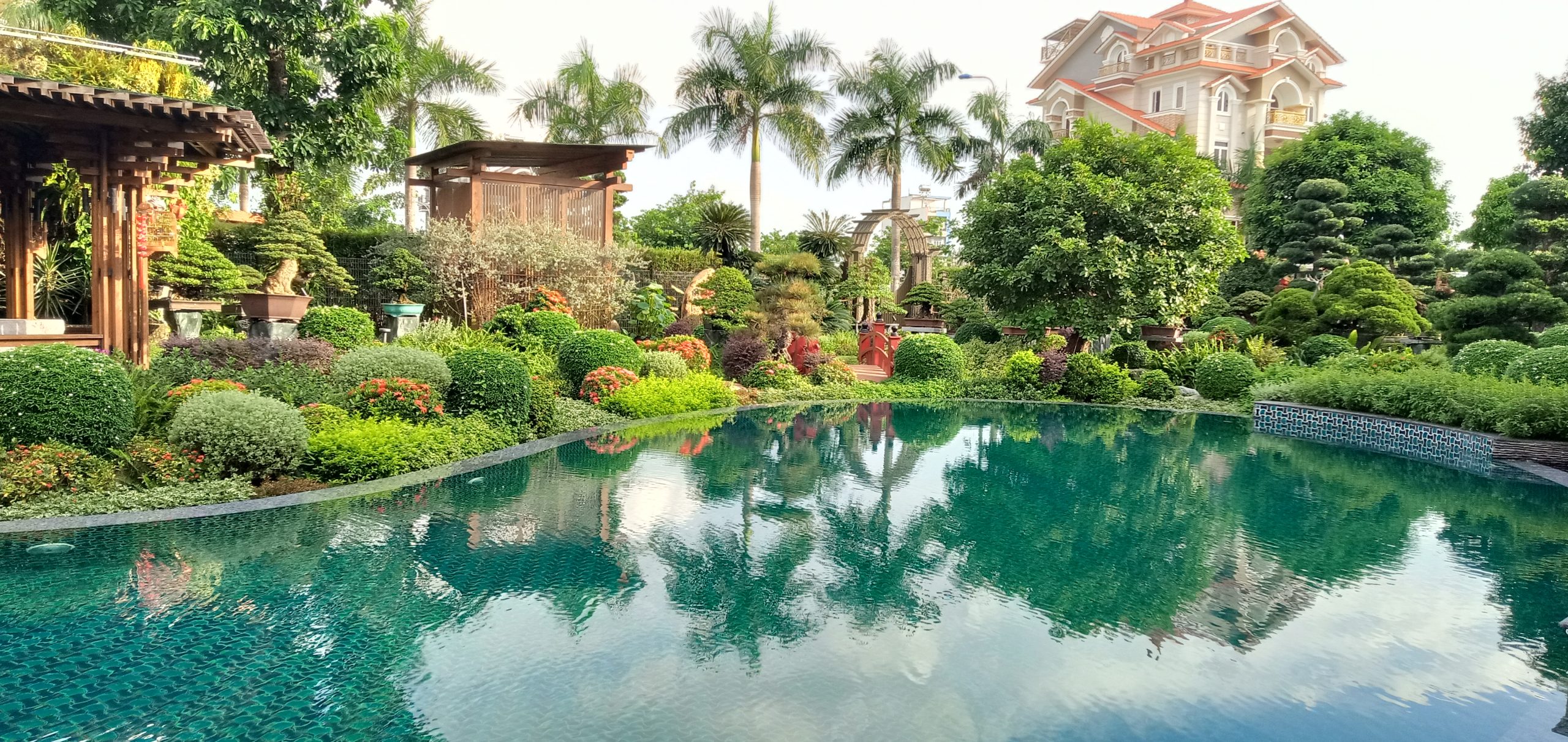 Những đối tượng phù hợp với dịch vụ chăm sóc cây xanh tại Nha Trang