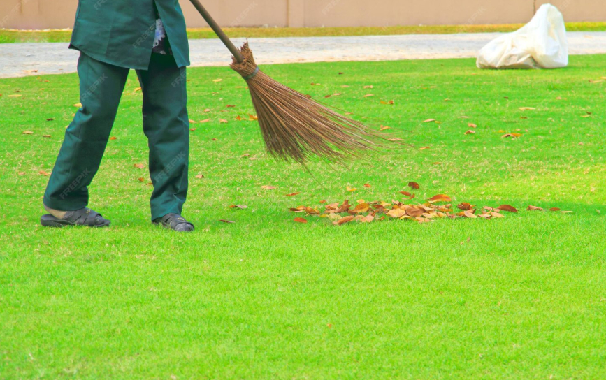 Chăm sóc thảm cỏ và vệ sinh cảnh quan tại Nha Trang.