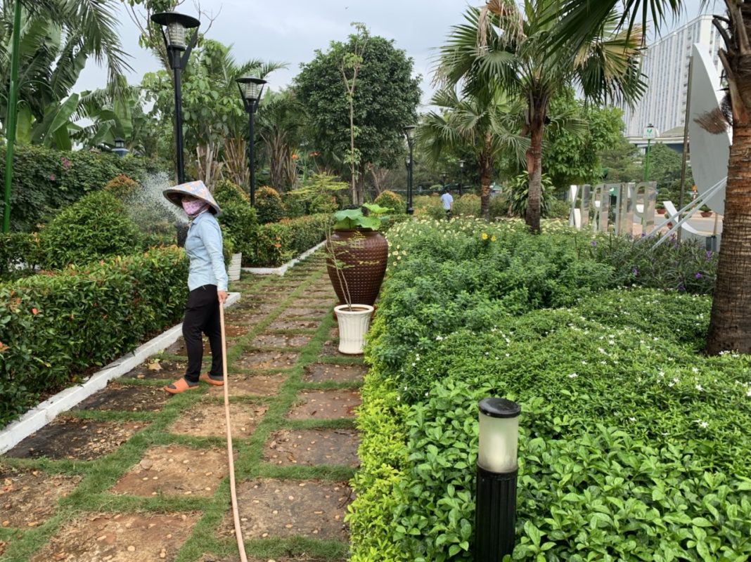 Các hạng mục dịch vụ chăm sóc cây xanh Bình Dương