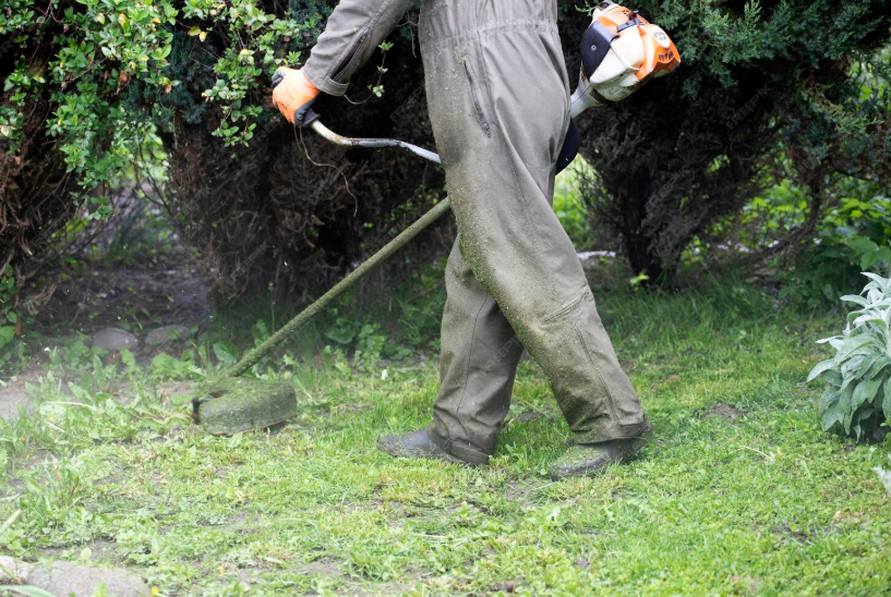 Dịch vụ vệ sinh sân vườn là hoạt động làm sạch và chăm sóc khuôn viên xanh gọn gàng, sạch đẹp.