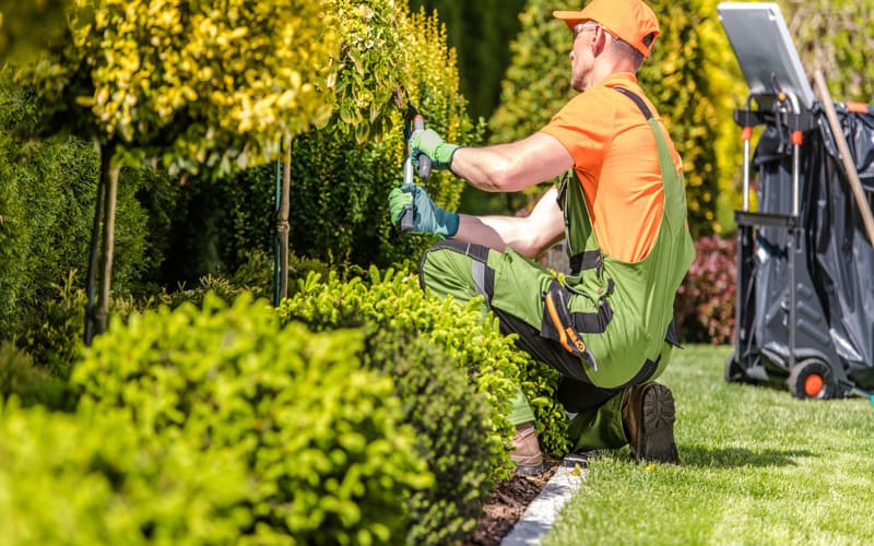Điểm khác biệt vượt trội của Hata Landscape so với đơn vị khác.