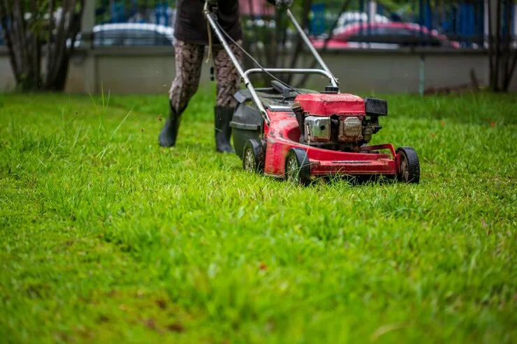 Dịch vụ cắt cỏ phù hợp cho đối tượng nào?