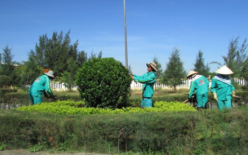 Hata Landscape – Đơn vị chăm sóc cây xanh Long An hàng đầu