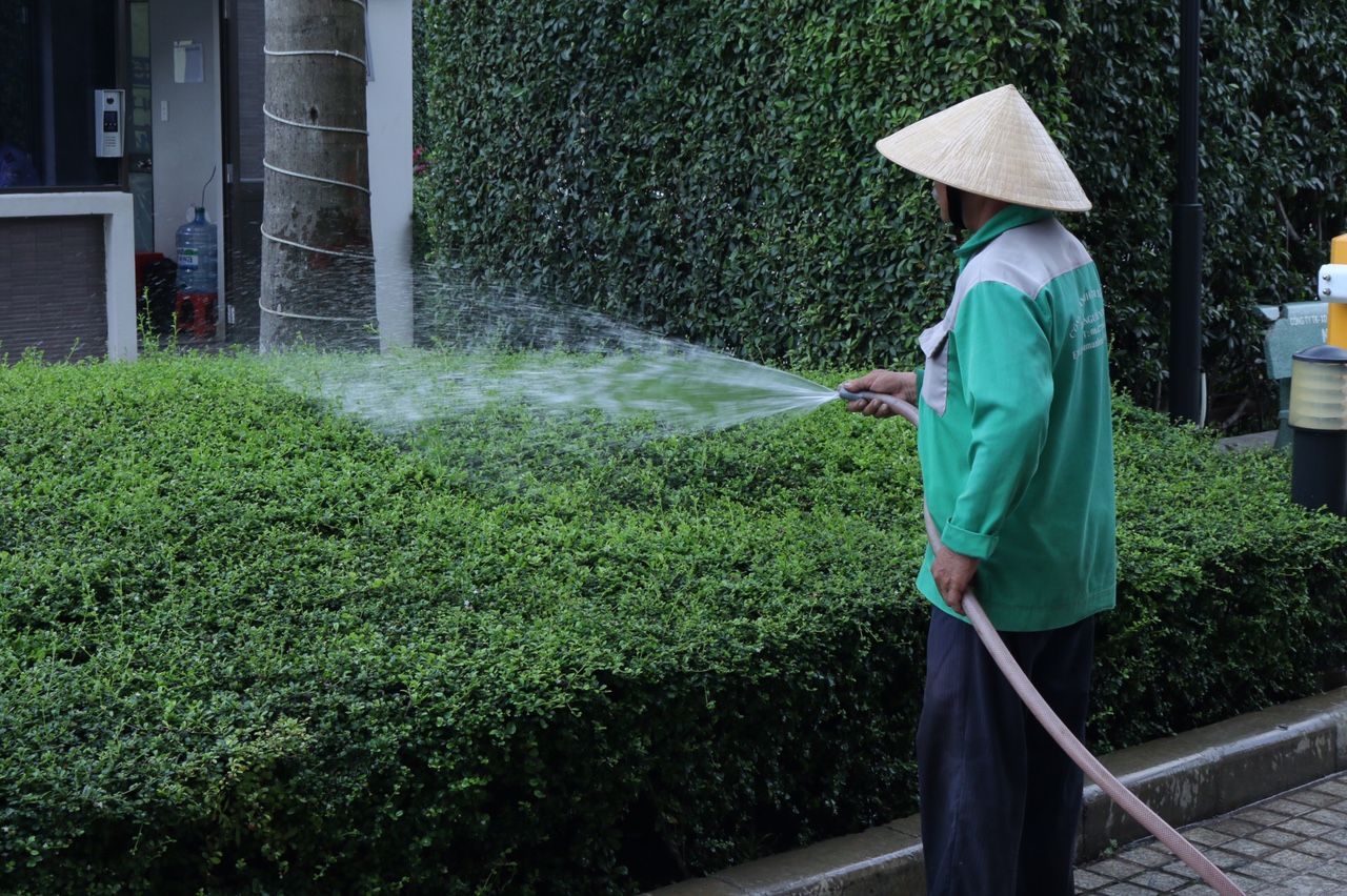Dịch vụ chăm sóc cây cảnh Tân Phú chuyên nghiệp, giá tốt.