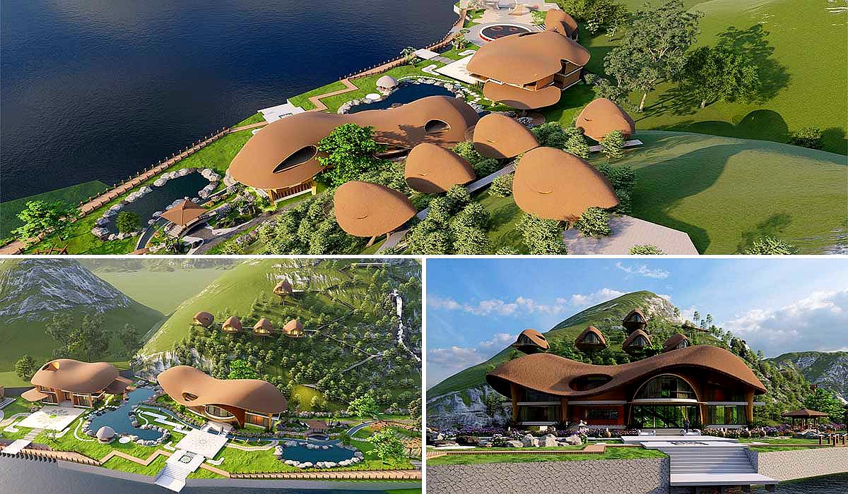 Greenmore Việt Nam mang đến giải pháp cảnh quan xanh bền vững và thẩm mỹ cao.