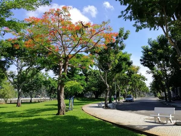 Hạnh Phúc Xanh Landscape