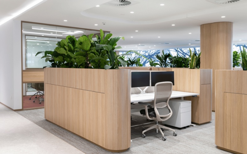 Chọn cây cảnh văn phòng phù hợp giúp không gian làm việc xanh mát và hài hòa hơn.