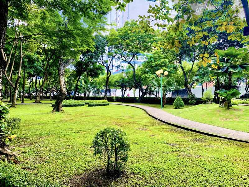 Lợi ích khi thuê công ty chăm sóc cây xanh chuyên nghiệp