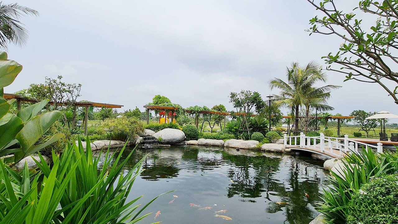 LSS – Landscape Solution Services mang đến các giải pháp cảnh quan toàn diện từ thiết kế đến thi công chuyên nghiệp.