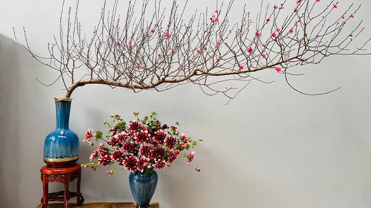 Khi trang trí cây đào ngày Tết, nên giữ sự cân đối để cây đẹp mà không bị rối mắt.