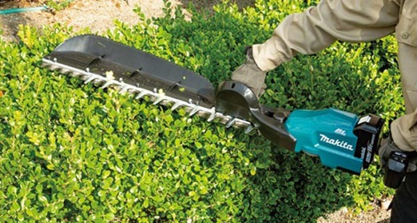 Máy móc hiện đại công suất lớn chuyên dùng cho cây cổ thụ và cành to.