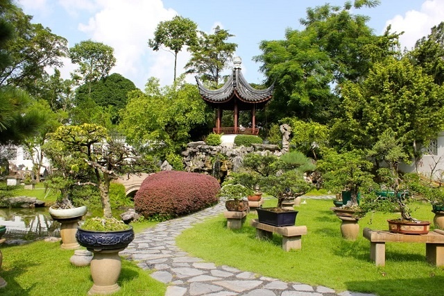 Hata Landscape là địa chỉ cung cấp cây cảnh trang trí sân vườn cuối năm uy tín.