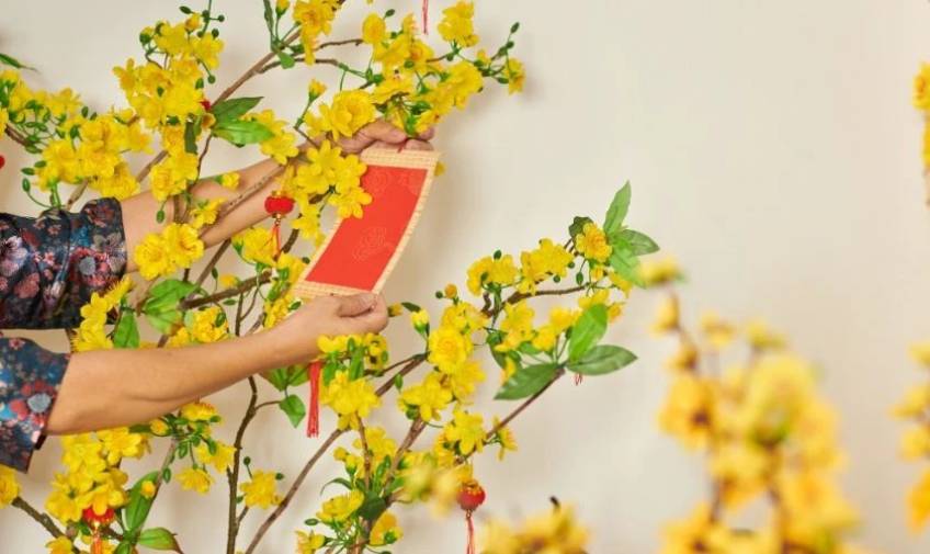 Trang trí cây mai hài hòa, cân đối sẽ giúp không gian Tết thêm đẹp và hợp phong thủy.