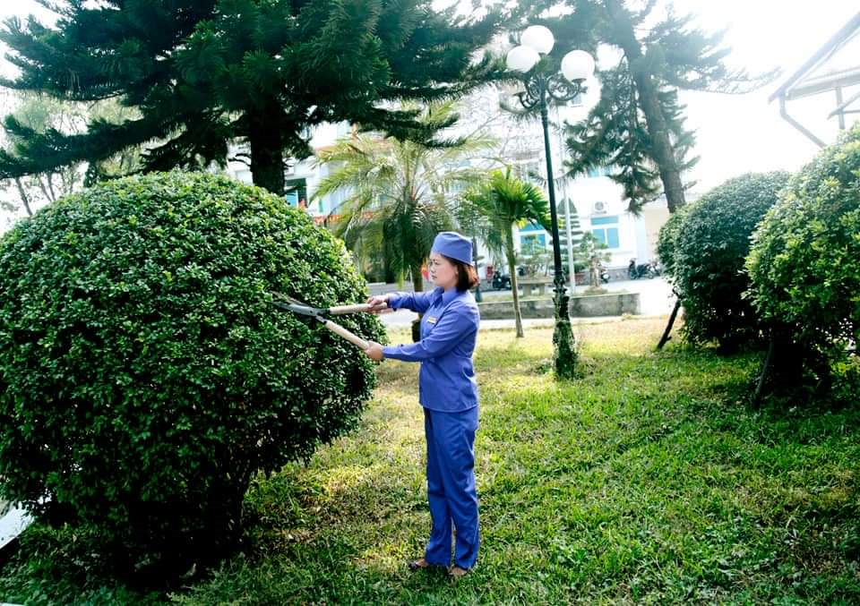 Phát hoang hay phát quang