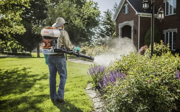 Dịch vụ chăm sóc cây cảnh sân vườn