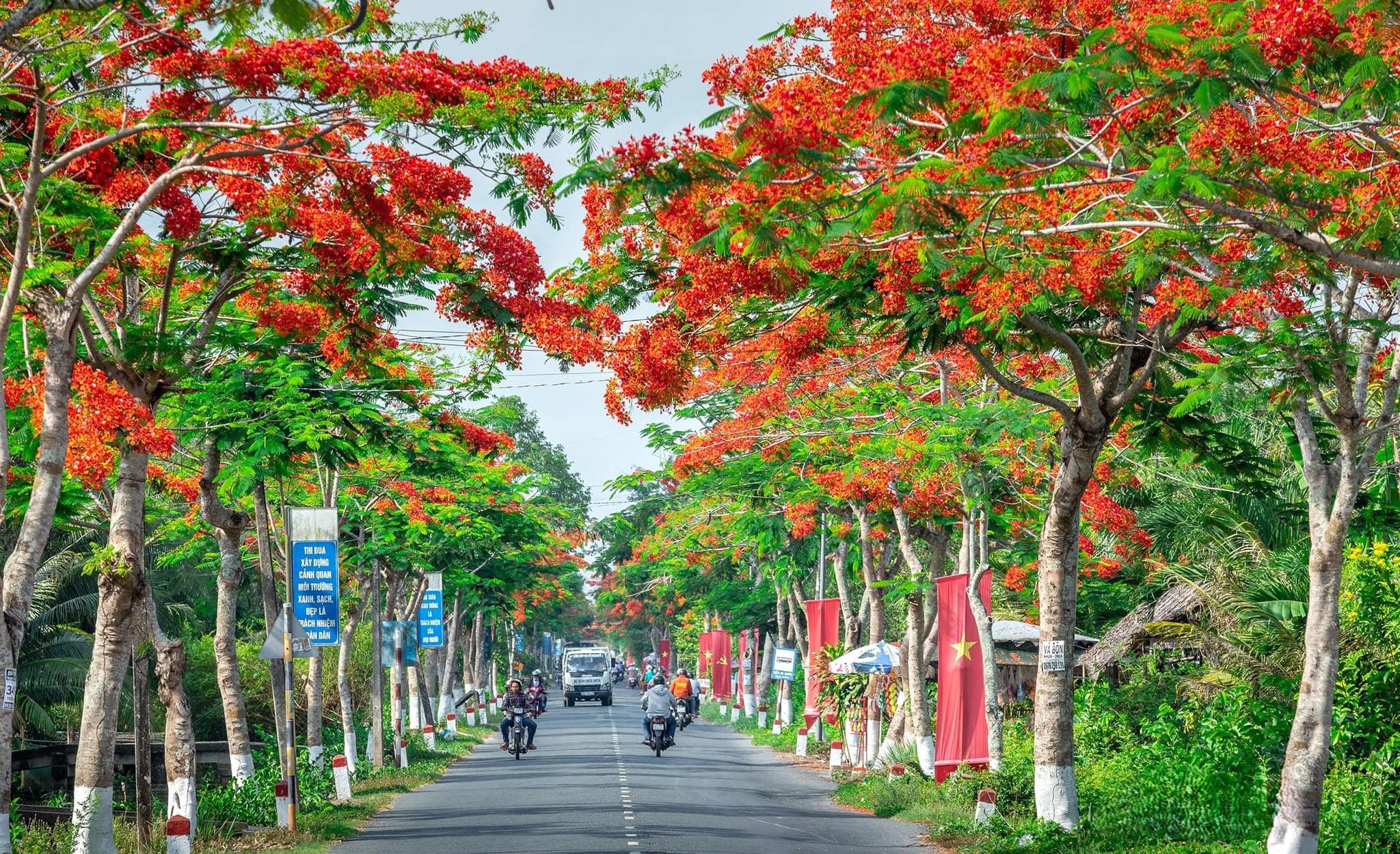 Chọn loại cây phù hợp với khí hậu, thổ nhưỡng