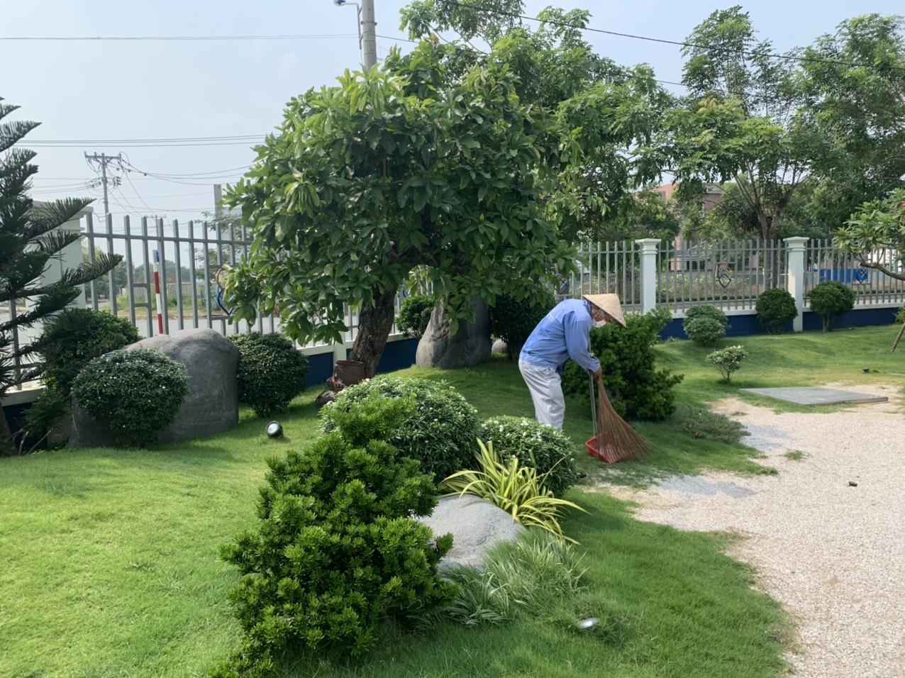 Quy trình kỹ thuật chăm sóc bảo dưỡng cảnh quan cây xanh