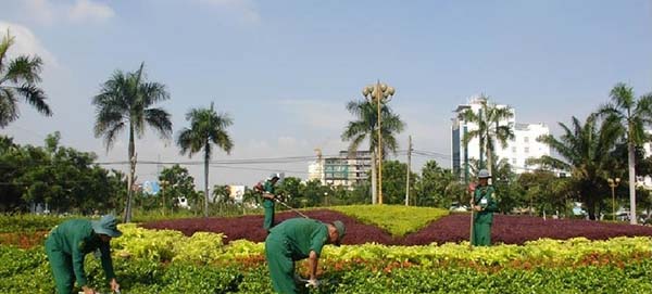 Doanh nghiệp nên thuê dịch vụ chăm sóc cây xanh chuyên nghiệp