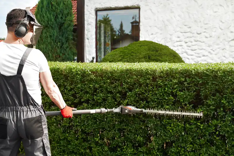 Quy trình chăm sóc cây xanh của HATA LANDSCAPE rõ ràng, đúng kỹ thuật.