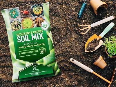 Trộn và kiểm tra Soil Mix để đảm bảo tơi xốp, thoát nước tốt.