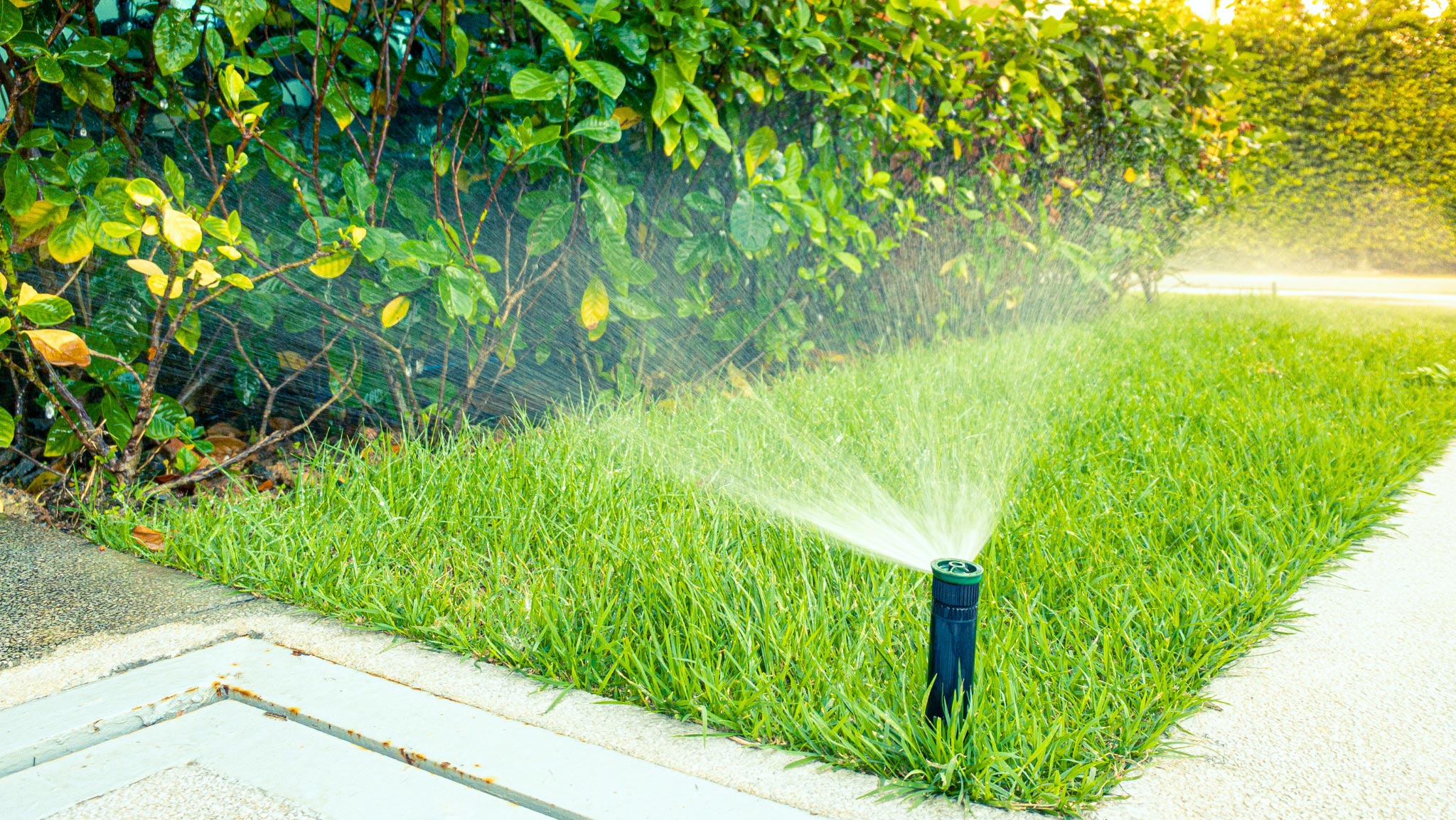Quy trình thiết kế và thi công hệ thống tưới nước tự động