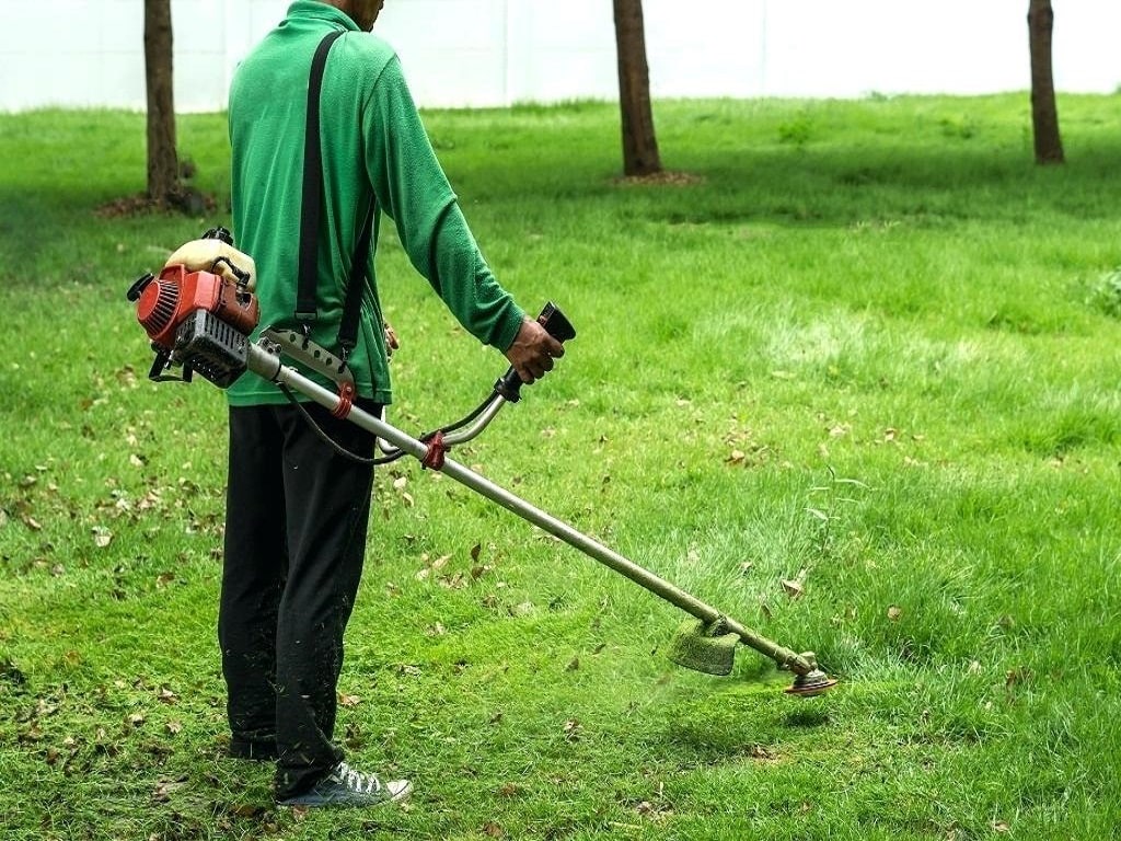 Quy trình cắt cỏ được thực hiện bài bản, nhanh gọn và sạch sẽ từ đầu đến cuối.