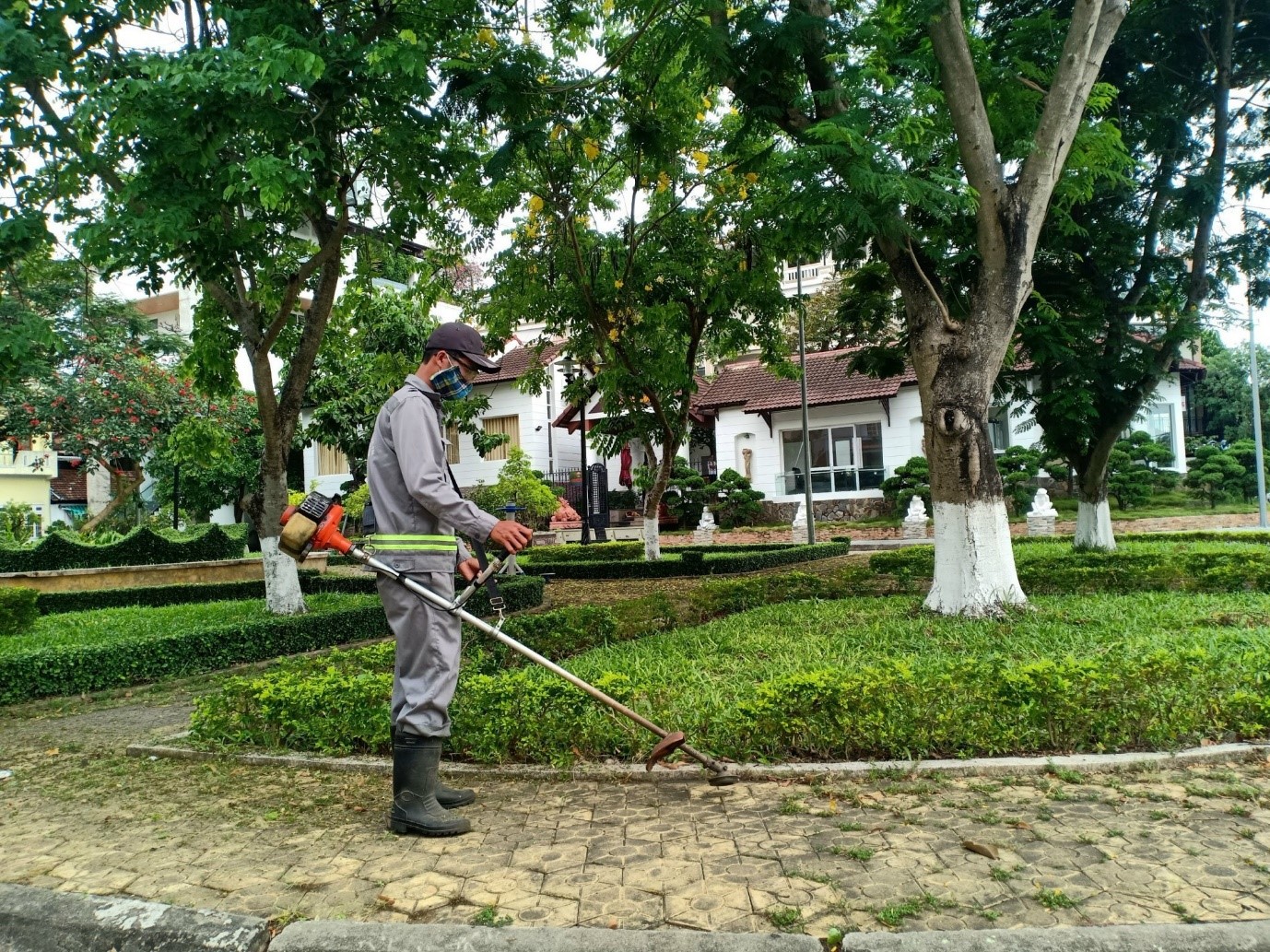 Quy trình đặt dịch vụ chăm sóc cây xanh