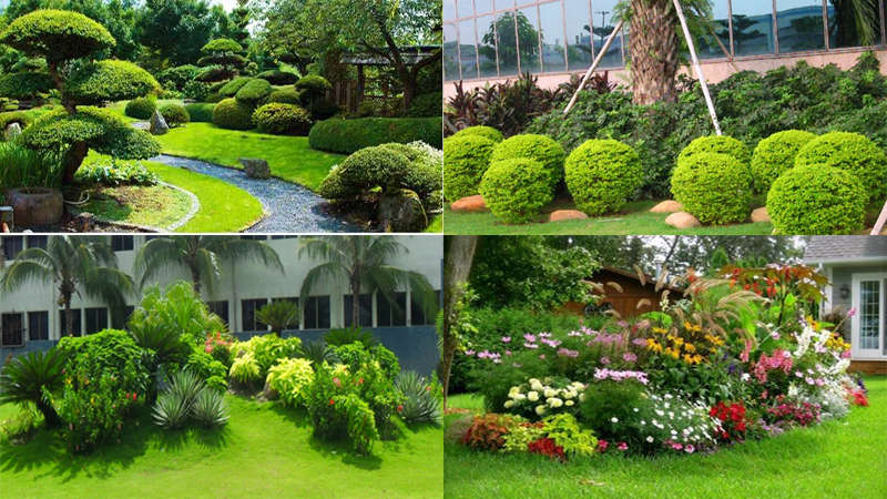 Những rủi ro thường gặp khi chọn sai đơn vị chăm sóc bảo dưỡng cảnh quan cây xanh