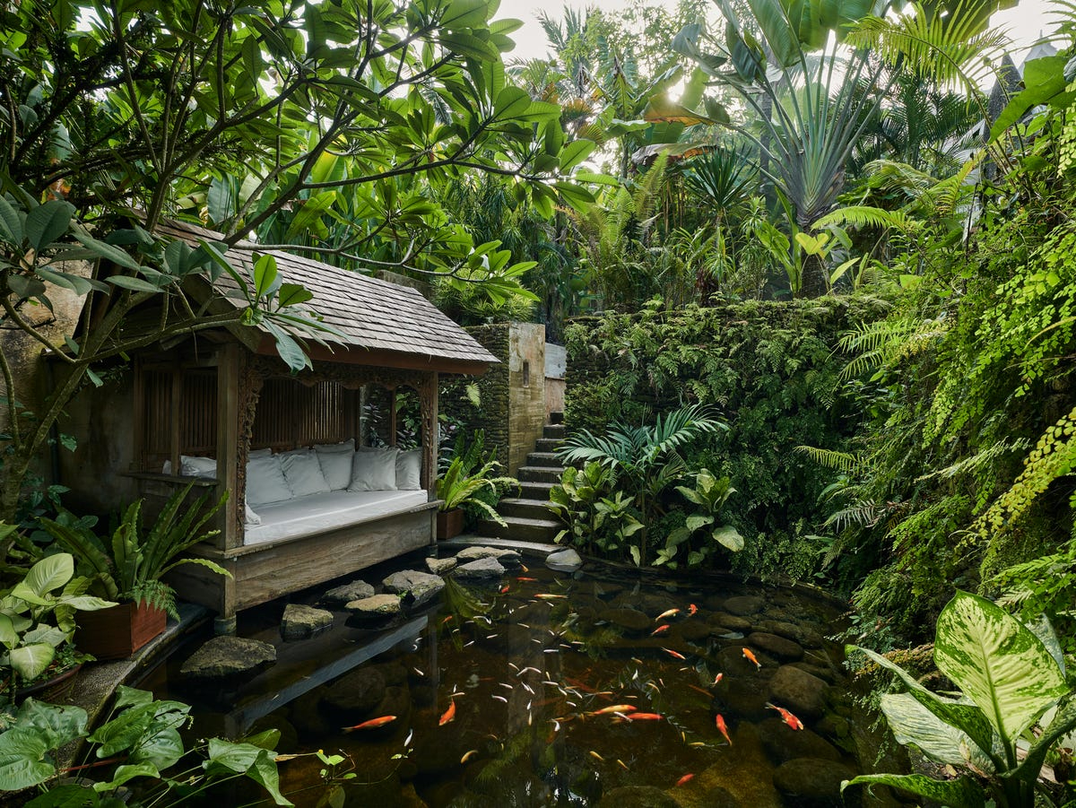 Sân vườn biệt thự có hồ cá Koi