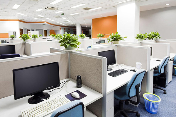 Giải pháp khắc phục và cách bố trí cây xanh khoa học