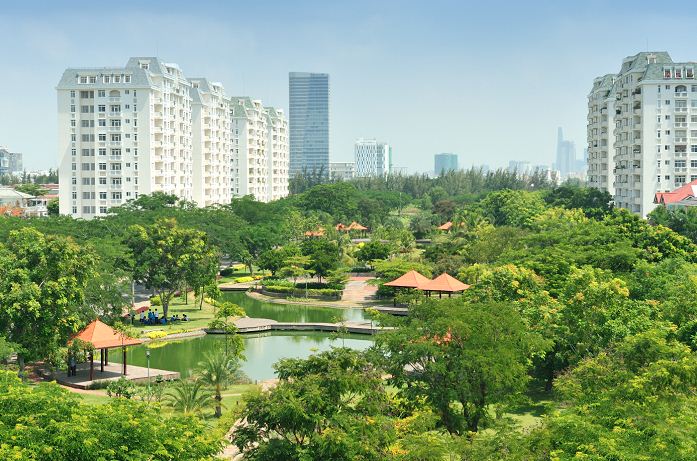 Dịch vụ chuyên nghiệp giúp cây xanh Quận 7 luôn tươi tốt.