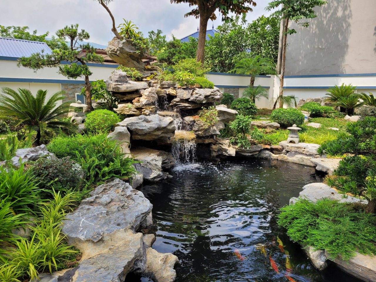 Thi công thác nước sân vườn  kết hợp hồ cá Koi