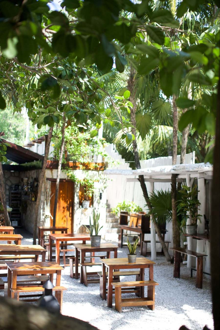 Cà phê sân vườn nông thôn Việt Nam