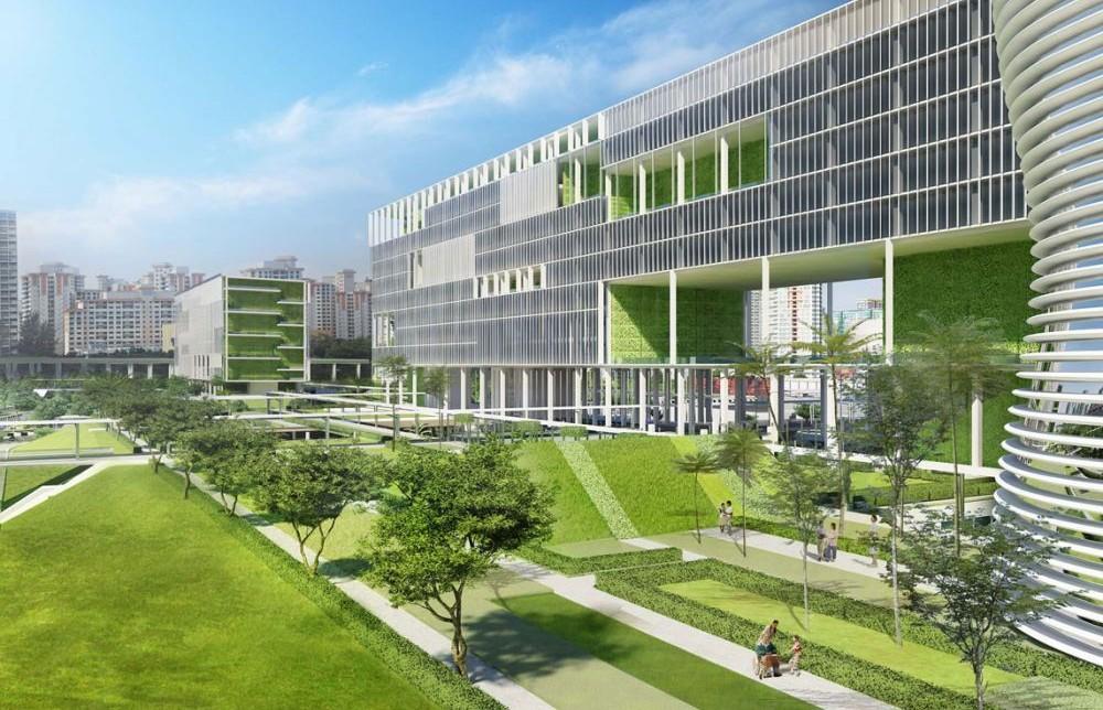 Quy trình thiết kế thi công cảnh quan bệnh viện