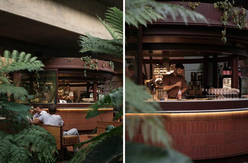 Cà phê sân vườn nhiệt đới đẹp