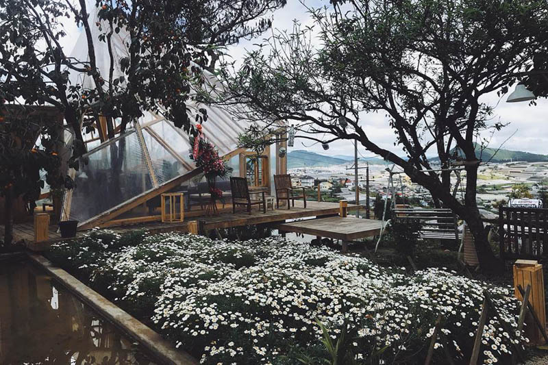 Cà phê sân vườn kiểu Farmhouse